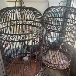 Antique Bird/parrot Cages