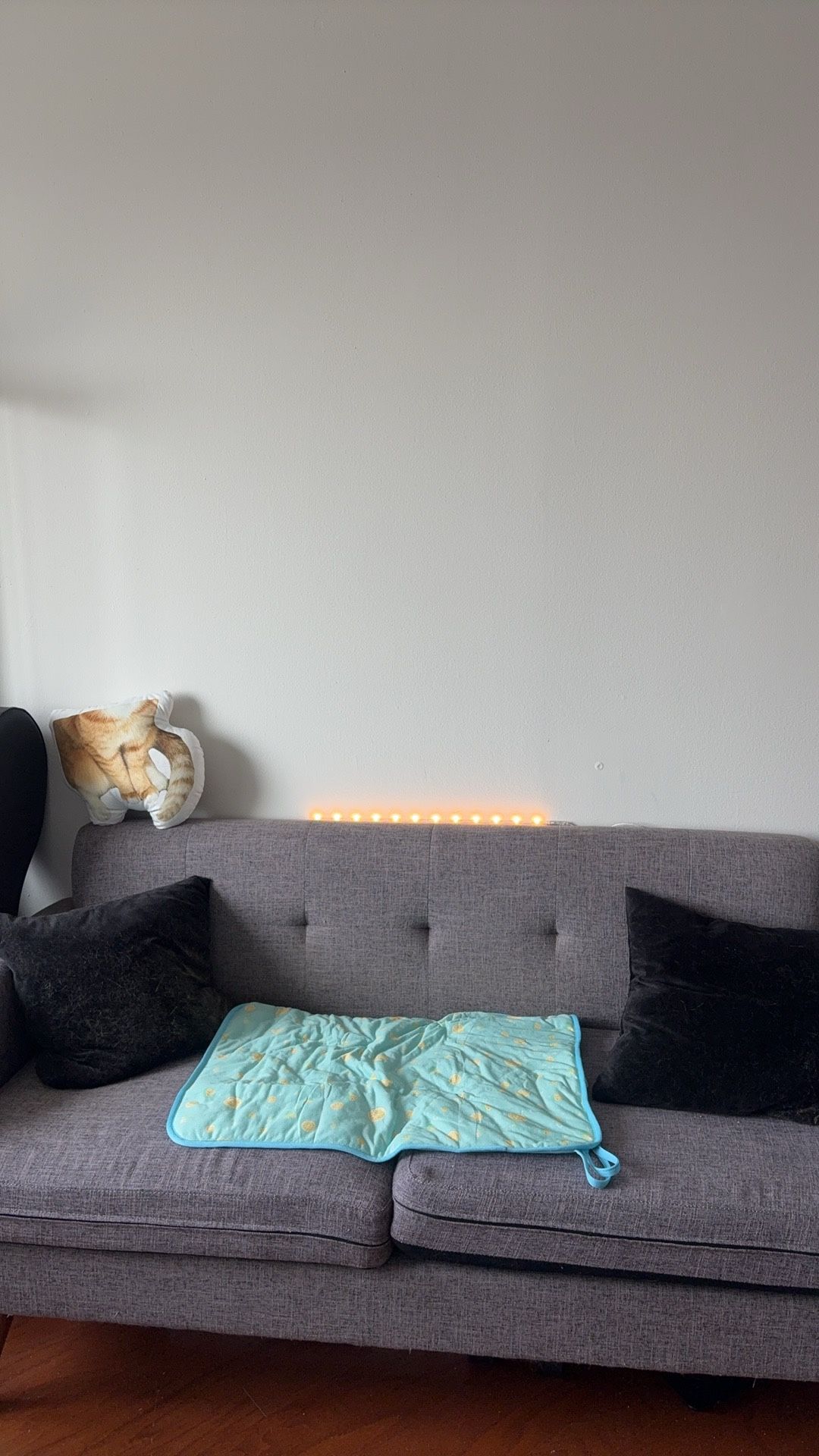Couch $29