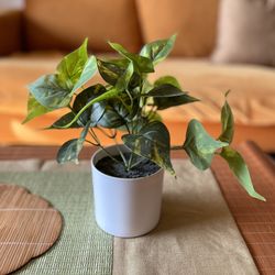 Fake Faux Pothos Indoor Green Plant