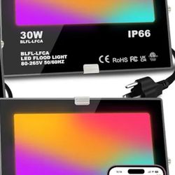 LED Flood Light Outdoor 30W, 300W Equivalent 3000LM Smart RGB Landscape Lighting with APP Control, DIY Scenes -Timing - Warm White 2700K -Color Changi