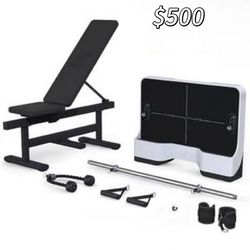 😀 Gym Pal All-in-One Smart Home Gym Machine, Total Body Resistance Strength Training Machine, Fitness Trainer with 200+ Curriculum and 4 Training Mod
