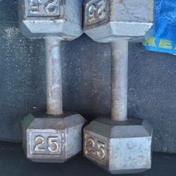 Weights 2 25lbs