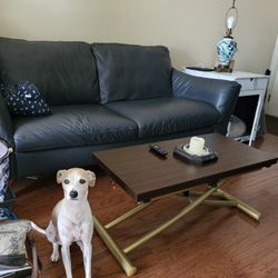 Coffee Table/Dining Table 