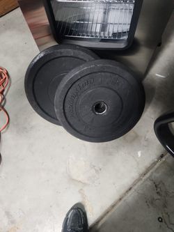 25lb Pair Bumper Plates