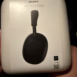 Sony Headphones 