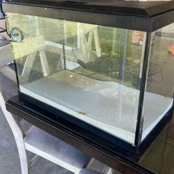 Fish Tank