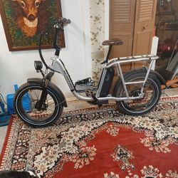 Class 2 Rad Electric Bike Like New