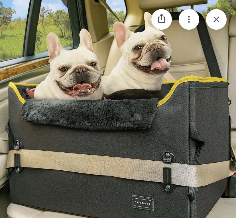 Petsfit Adjustable Height Pet Car Seat (Blk/Yellow)