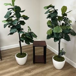 Silk Decorating Plants