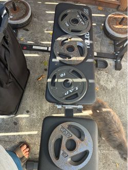 Selling weights and belt for squats!