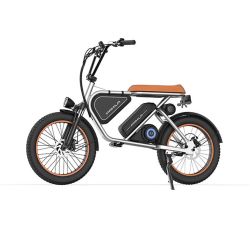 Pamela E3 Gray 20-Inch Adult Motorized Dirt Bikes,1000W Led Mid-Mounted Motor,Puncture-Resistant UL2849 Wide Tires,48V15.6Ah Battery. Speed 25miles pe