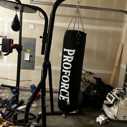 proforce ultra heavy bag with a speed bag