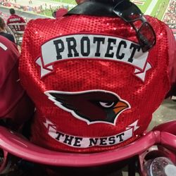 AZ CARDINALS VS JAX JAGUARS