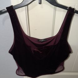 Burgundy Velvet Crop Top 