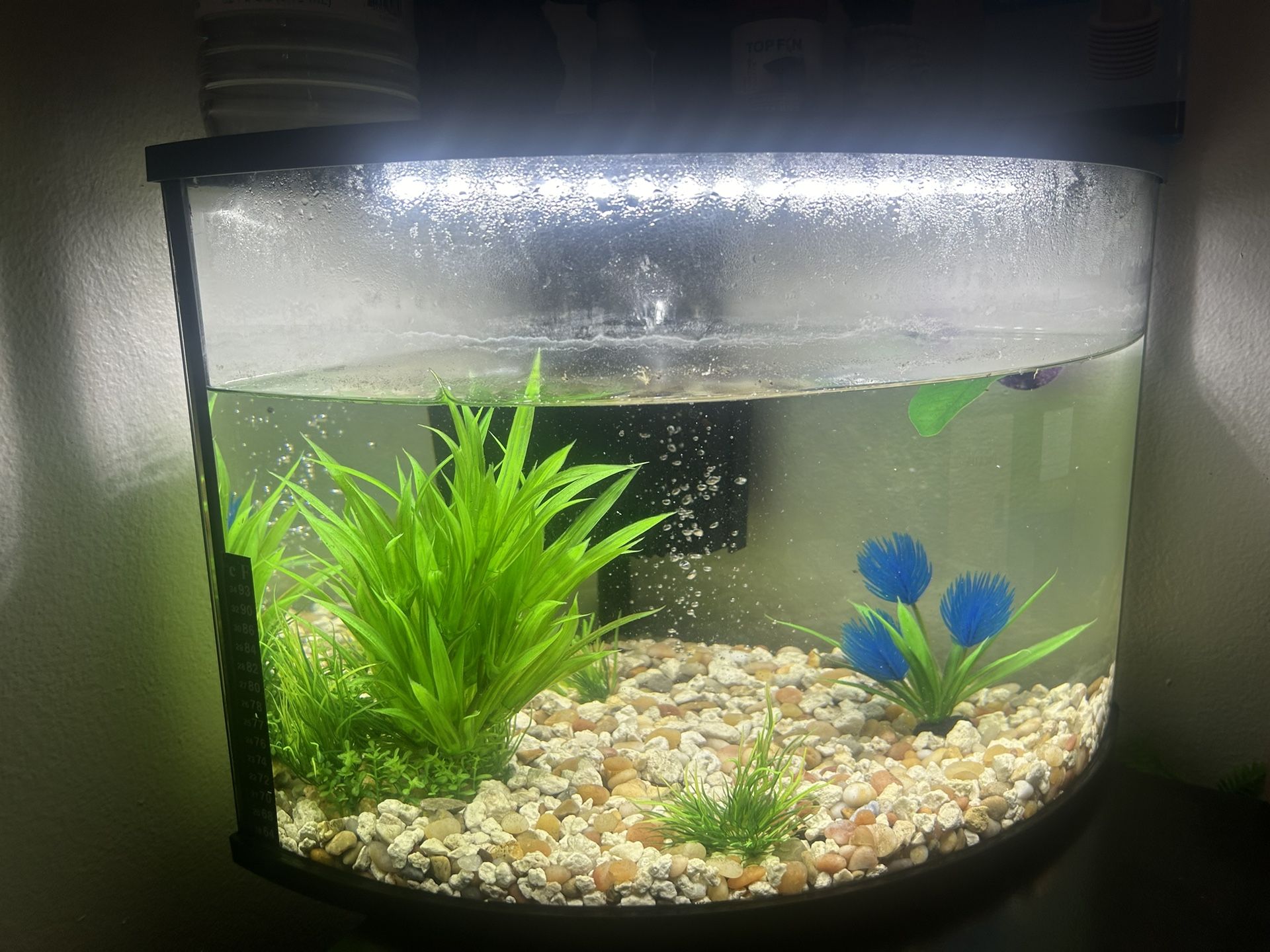 Fish Tank/supplies