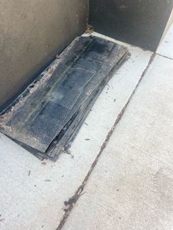 Free shingles black