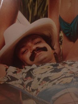Cheech and Chong Nice Dreams first run movie poster