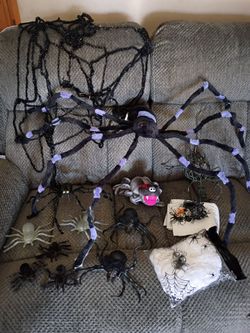 Halloween Spiders & Webs $10 for set