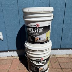 ZINSSER 5-gal. Peel Stop Water Base Clear 