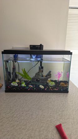 10 gallon Aquarium