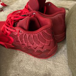 PUMA X LAMELO 1OF1 (Red/Maroon)