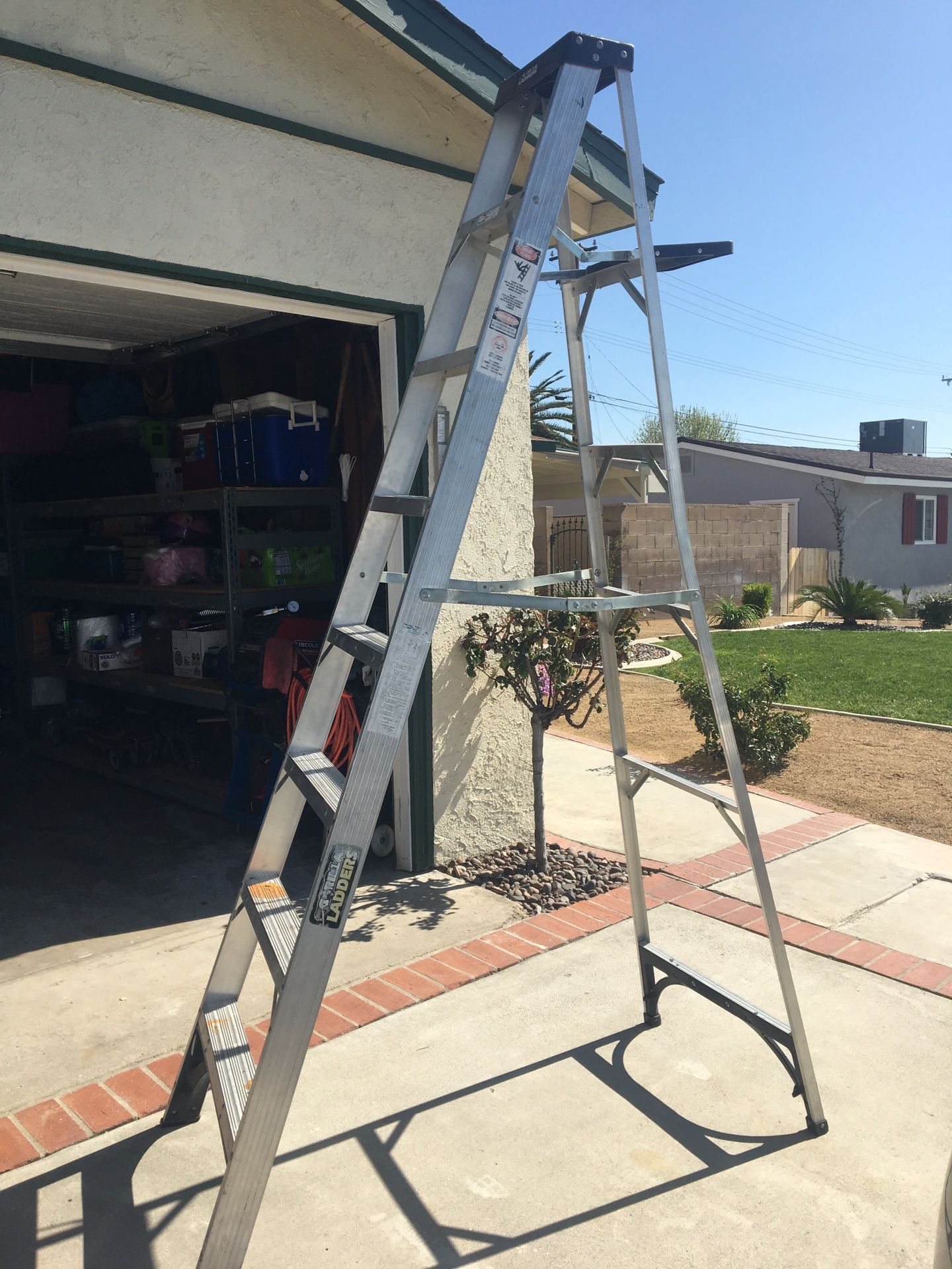 8 ft ladder