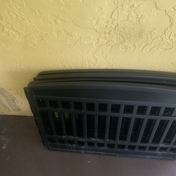 Dog new    Today  20$