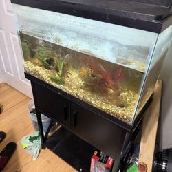 Tank With Stand 