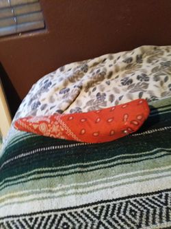 17 in bandana set for sale