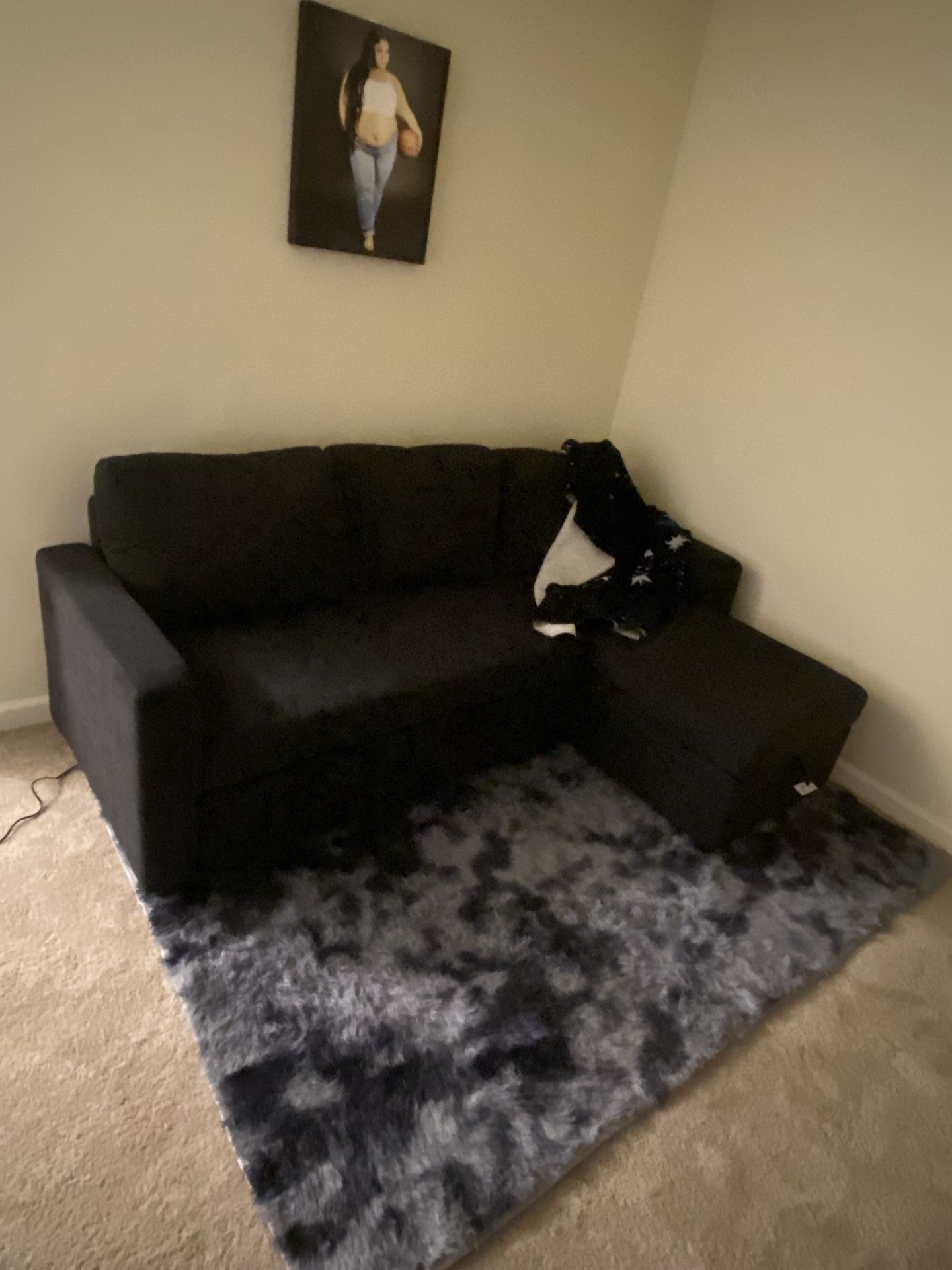Small Pull Out Sectional