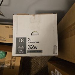 Bulbs