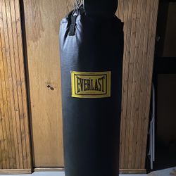 Everlast 100LB HEAVY Ponching BAG