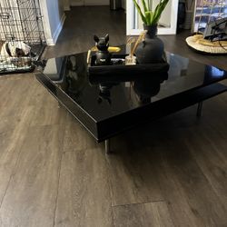 Beautiful Black Low Profile Coffee Table 