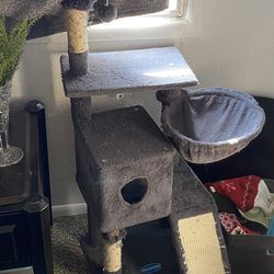 Cat Tree