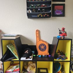 Custom painted Book/storage Shelving Unit