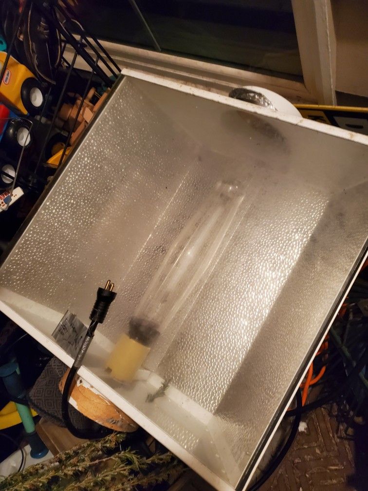Grow Lights