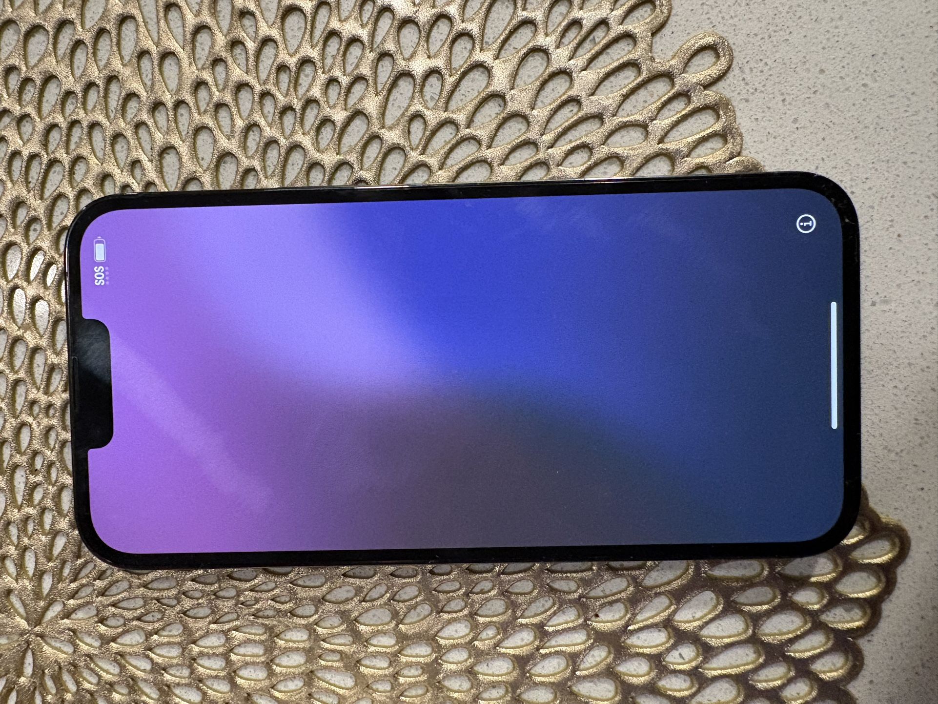 iPhone 13 Pro Max Unlocked 