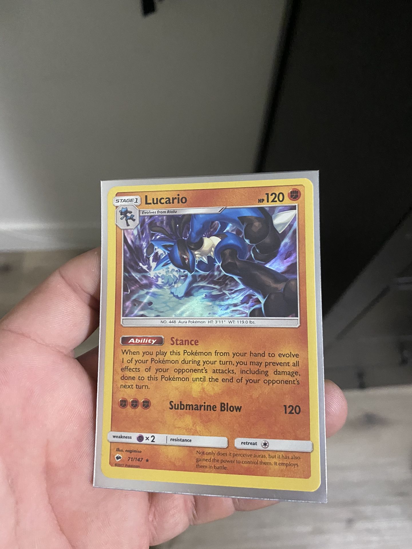 Pokémon Lucario