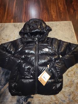 The North Face Black Puffer Jacket with Hood