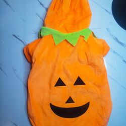 Medium Dog Pumpkin Costume