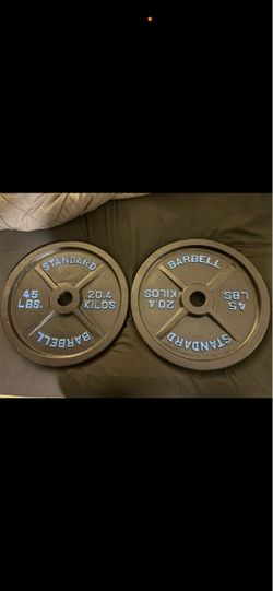 Two 45lb Olympic plates