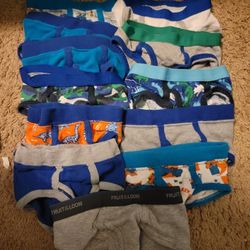 Boys Toddler 2t 3t Underwear Briefs Undies