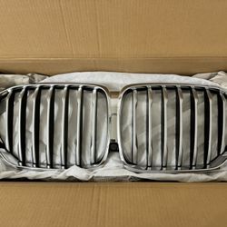 BMW X5 Kidney Grille