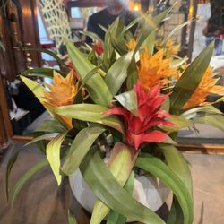 Beautiful Artificial Plant With Pot