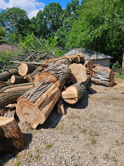 Wood