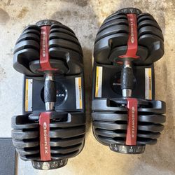 Bowflex Adjustable Weights