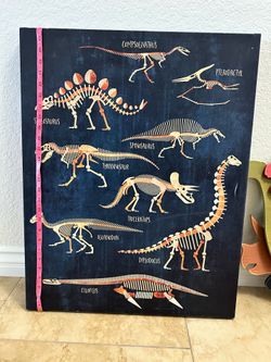 Dinosaur Room Collection