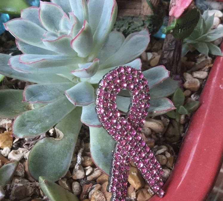 Pink Sparkle Vintage Stone Ribbon Brooch