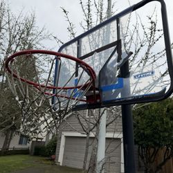 Lifetime Basketball Hoop