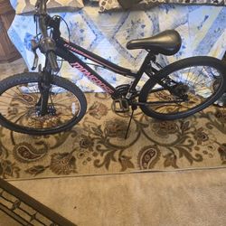 Mongoose 24 Inch Bike 